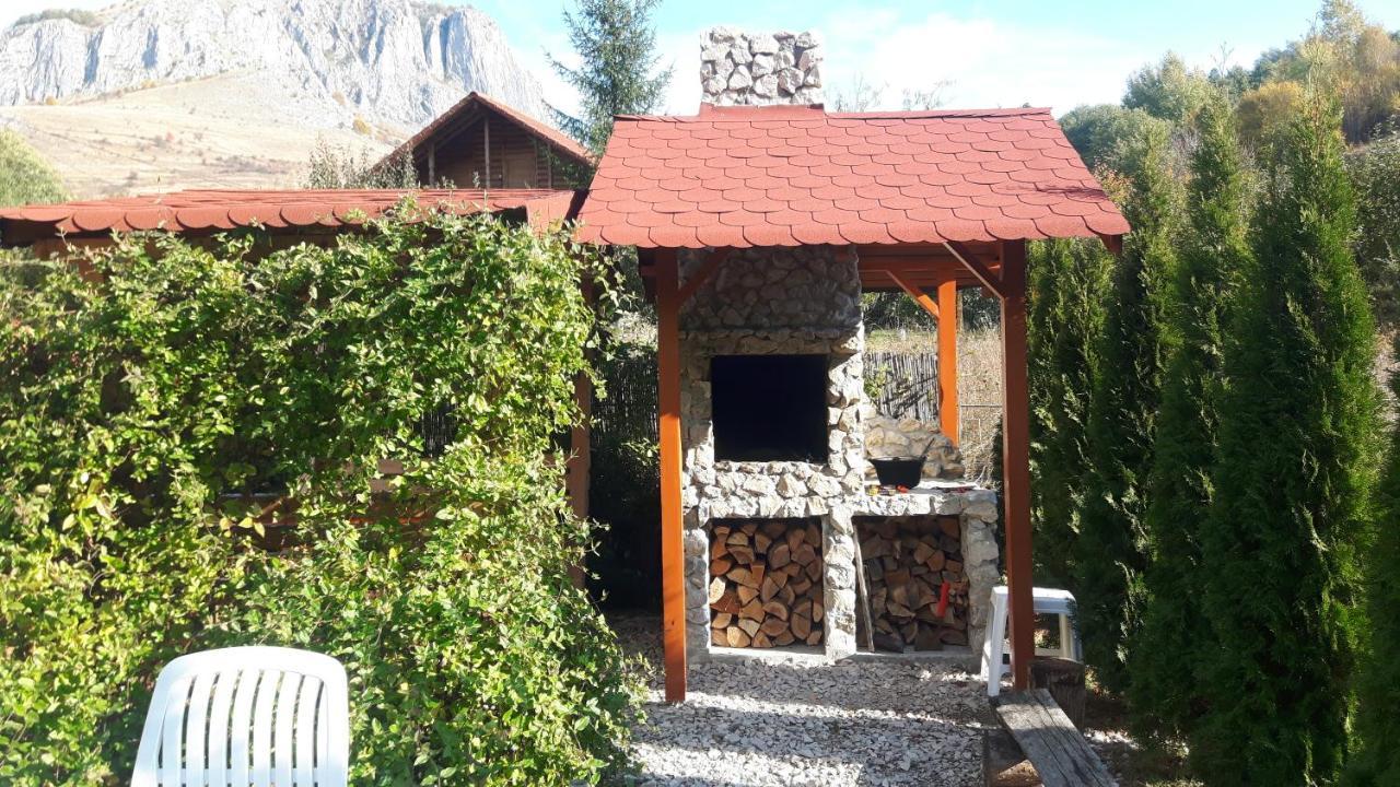 Studiouri Valisoara Екстериор снимка
