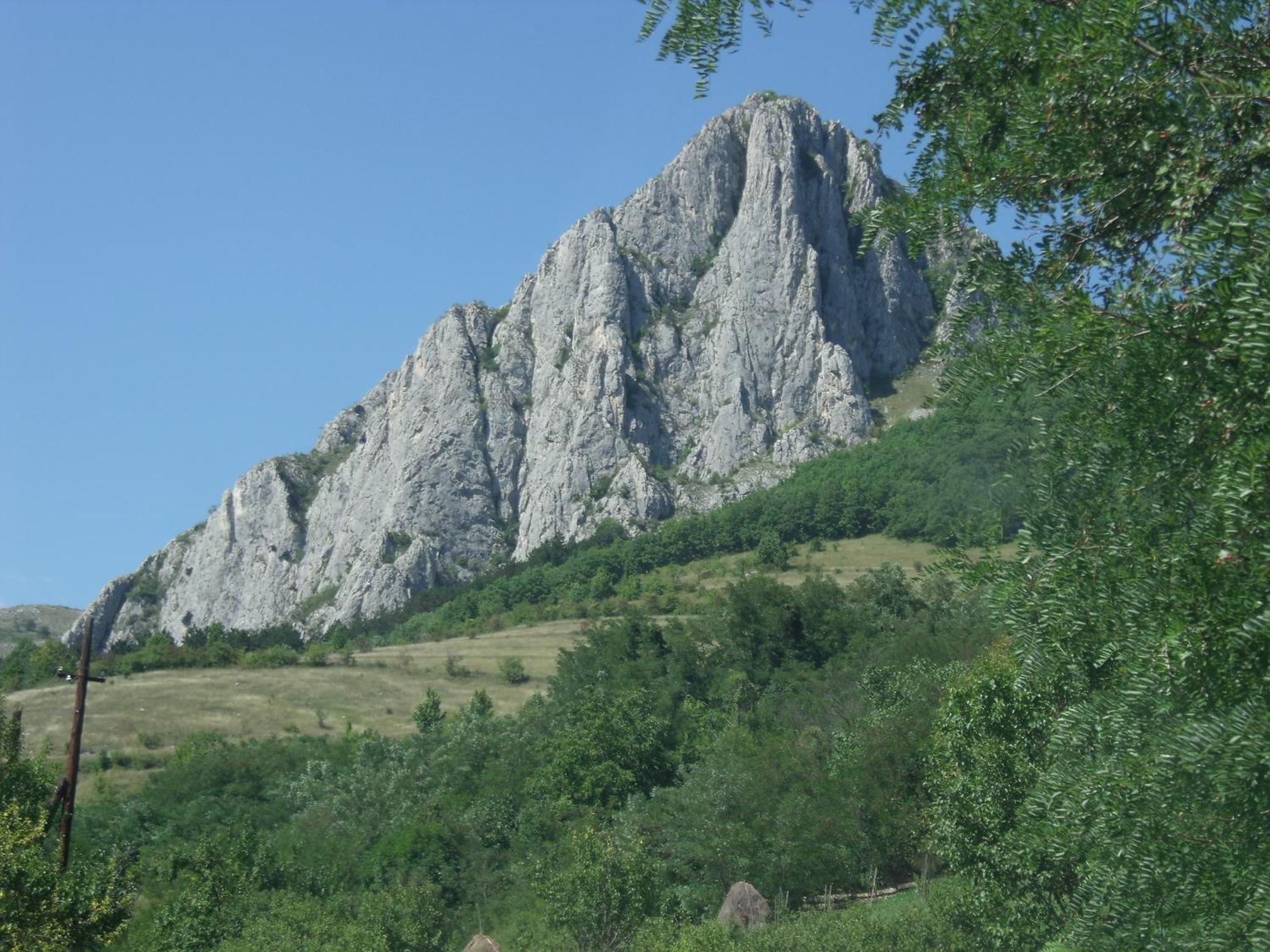 Studiouri Valisoara Екстериор снимка