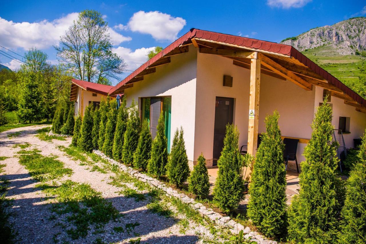 Studiouri Valisoara Екстериор снимка